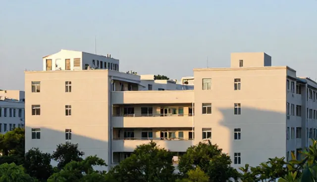 企业名录展示的性能与适用条件分析